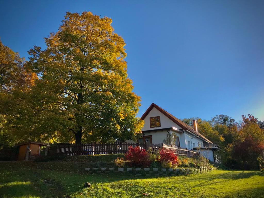 Ferienhaus Koller Gussing Luaran gambar